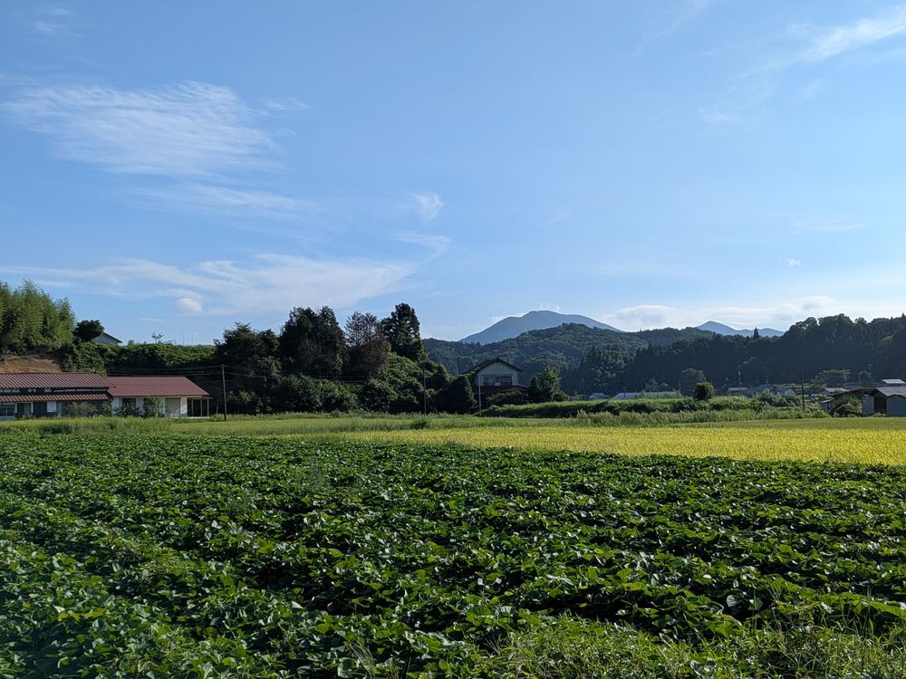 飯南町の畑と山々の風景
